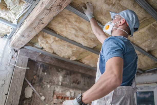 Best Geographic-Specific Insulation Services in Maumee, OH