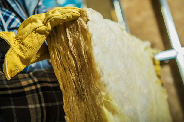 Best Cellulose Insulation in Maumee, OH
