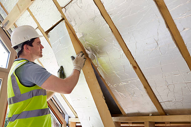 Best Residential Insulation in Maumee, OH